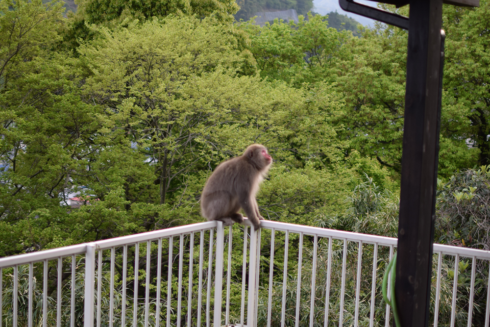 f:id:rise_more:20160428230420j:plain