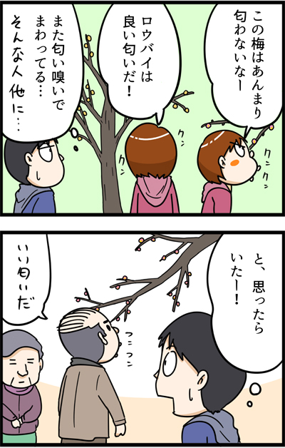 f:id:rise_more:20170130223344j:plain