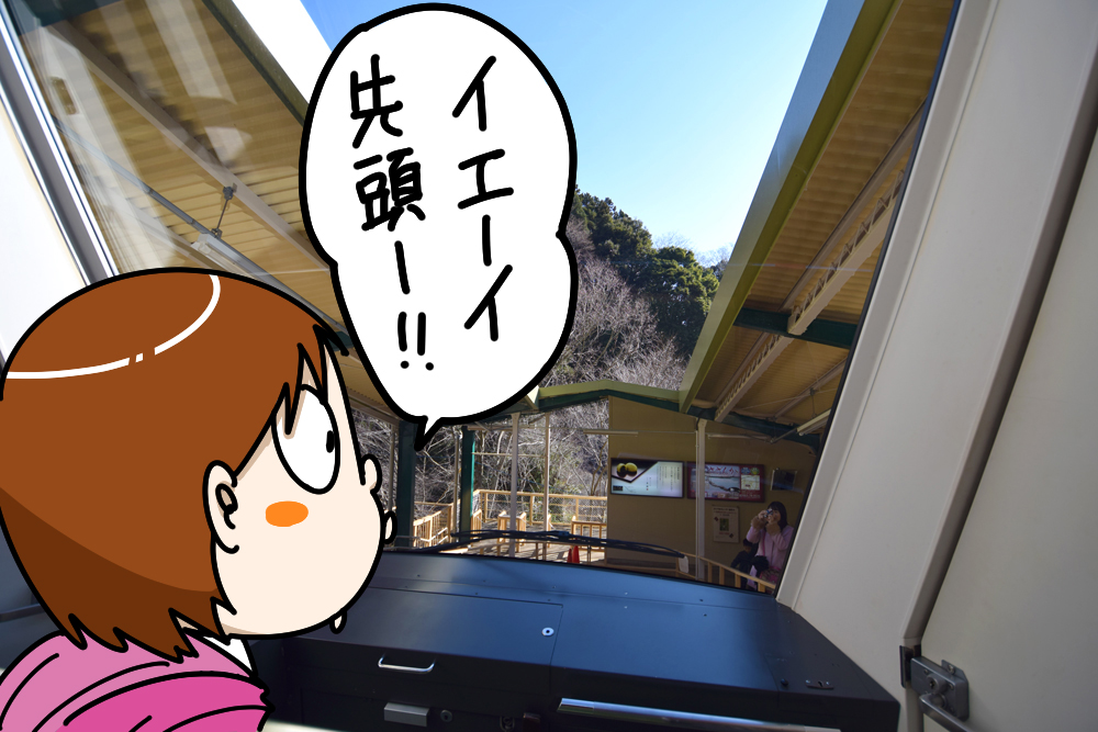 f:id:rise_more:20170201220128j:plain