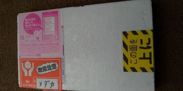 f:id:risefumi:20190414143221j:plain f:id:risefumi:20190414143221j:plain