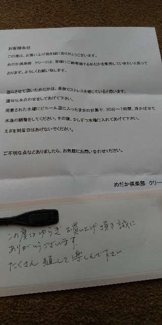 f:id:risefumi:20190414143315j:plain f:id:risefumi:20190414143315j:plain