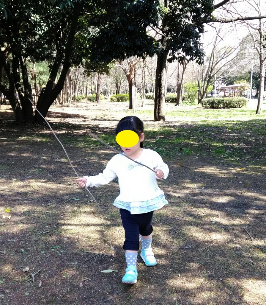 f:id:rishiana:20180515095647j:plain f:id:rishiana:20180515095647j:plain