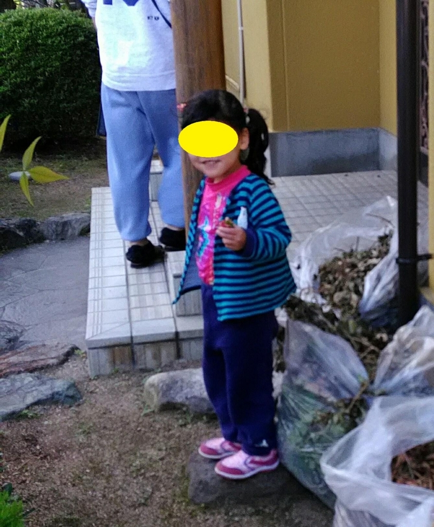f:id:rishiana:20180628054931j:plain