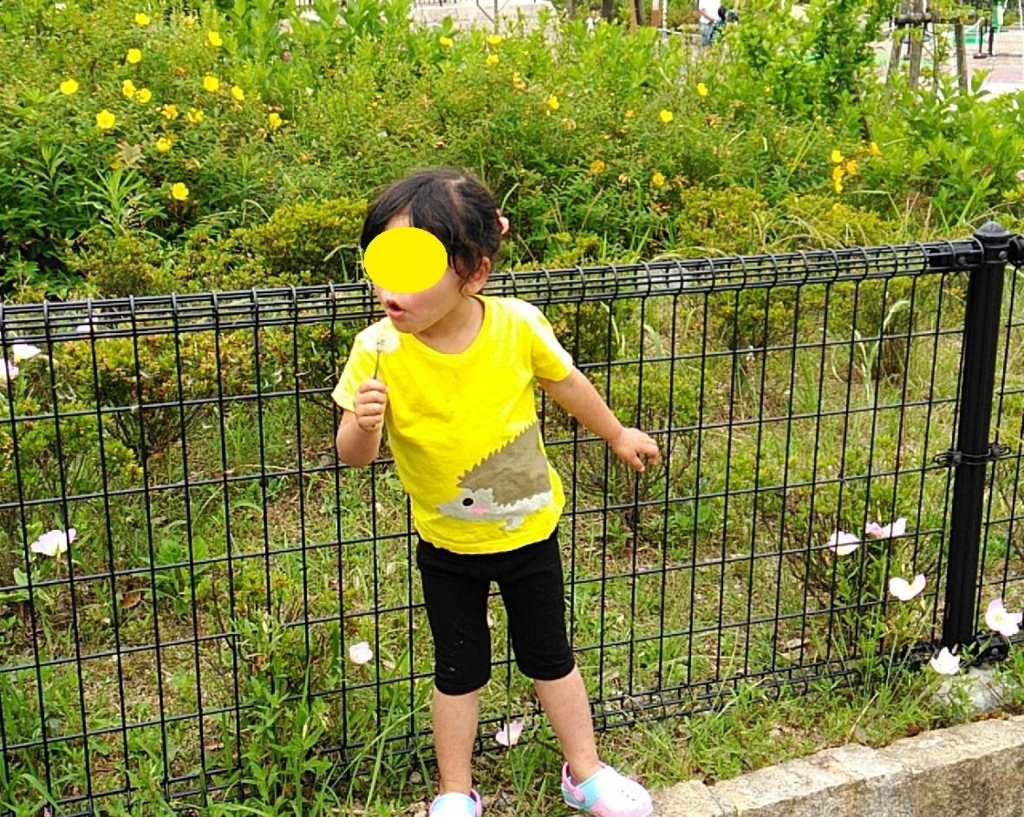 f:id:rishiana:20180708173338j:plain