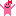 リボン