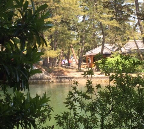 f:id:rismoco:20180523003316j:plain