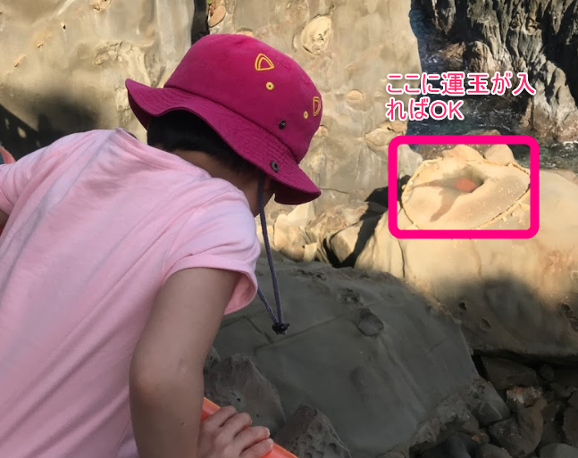 f:id:rismoco:20200327221439p:plain