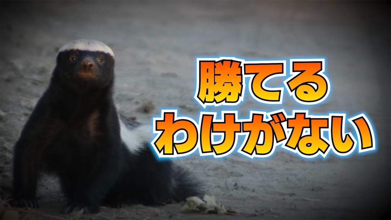f:id:risoron_dayo:20260926080631j:image f:id:risoron_dayo:20260926080631j:image