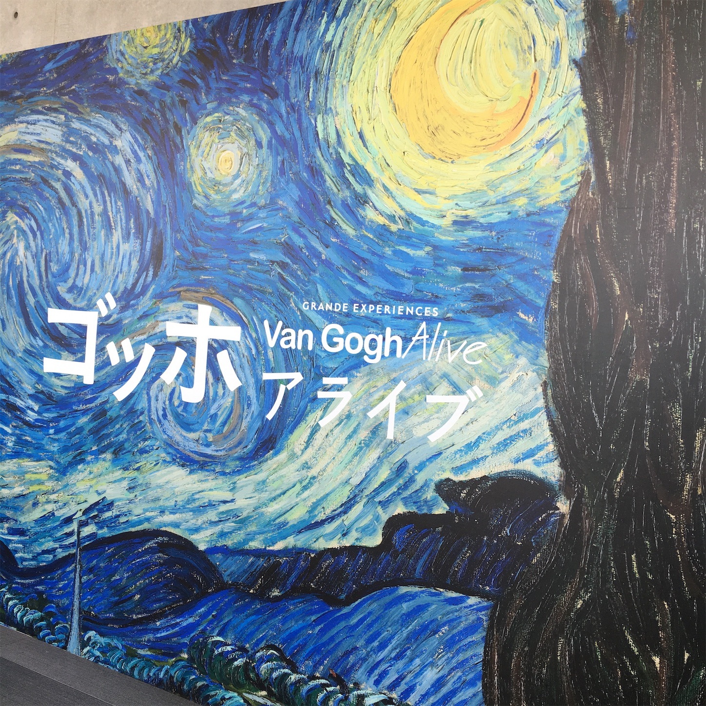 f:id:risunotabi:20230424082645j:image f:id:risunotabi:20230424082645j:image