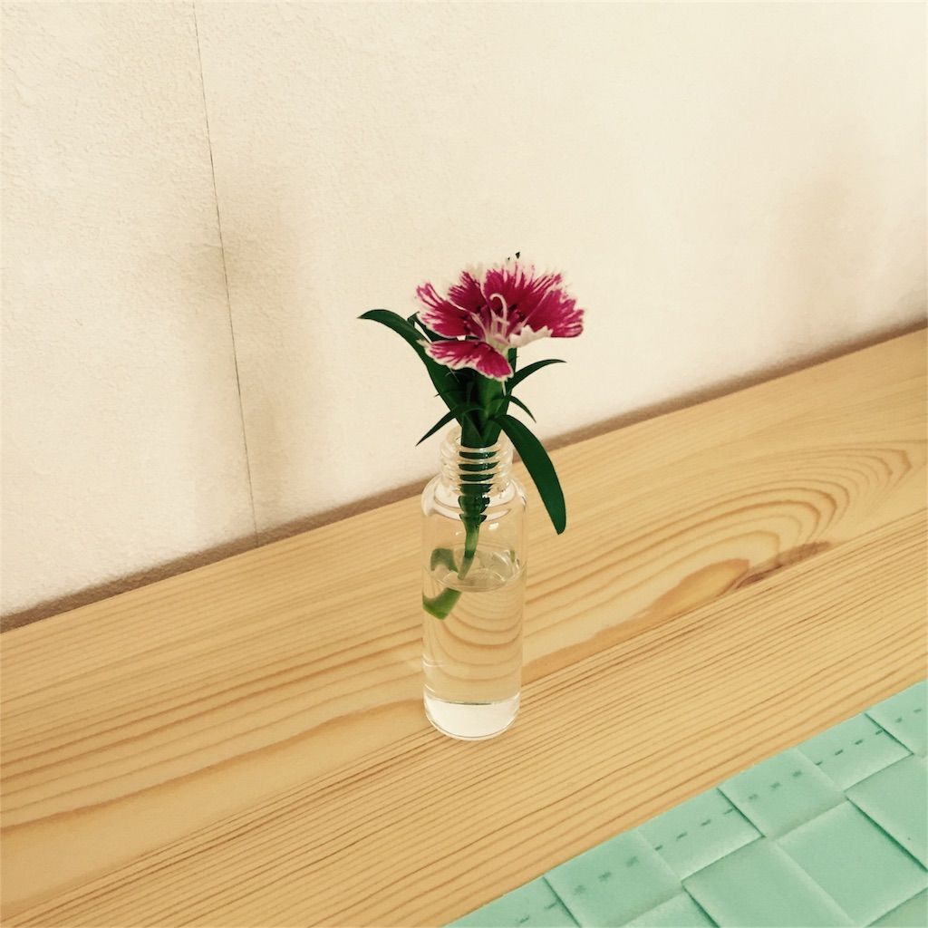 f:id:ritaia:20170108102858j:image f:id:ritaia:20170108102858j:image