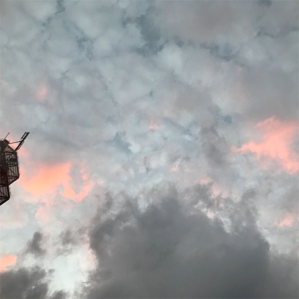 f:id:ritaia:20180121205926j:image f:id:ritaia:20180121205926j:image