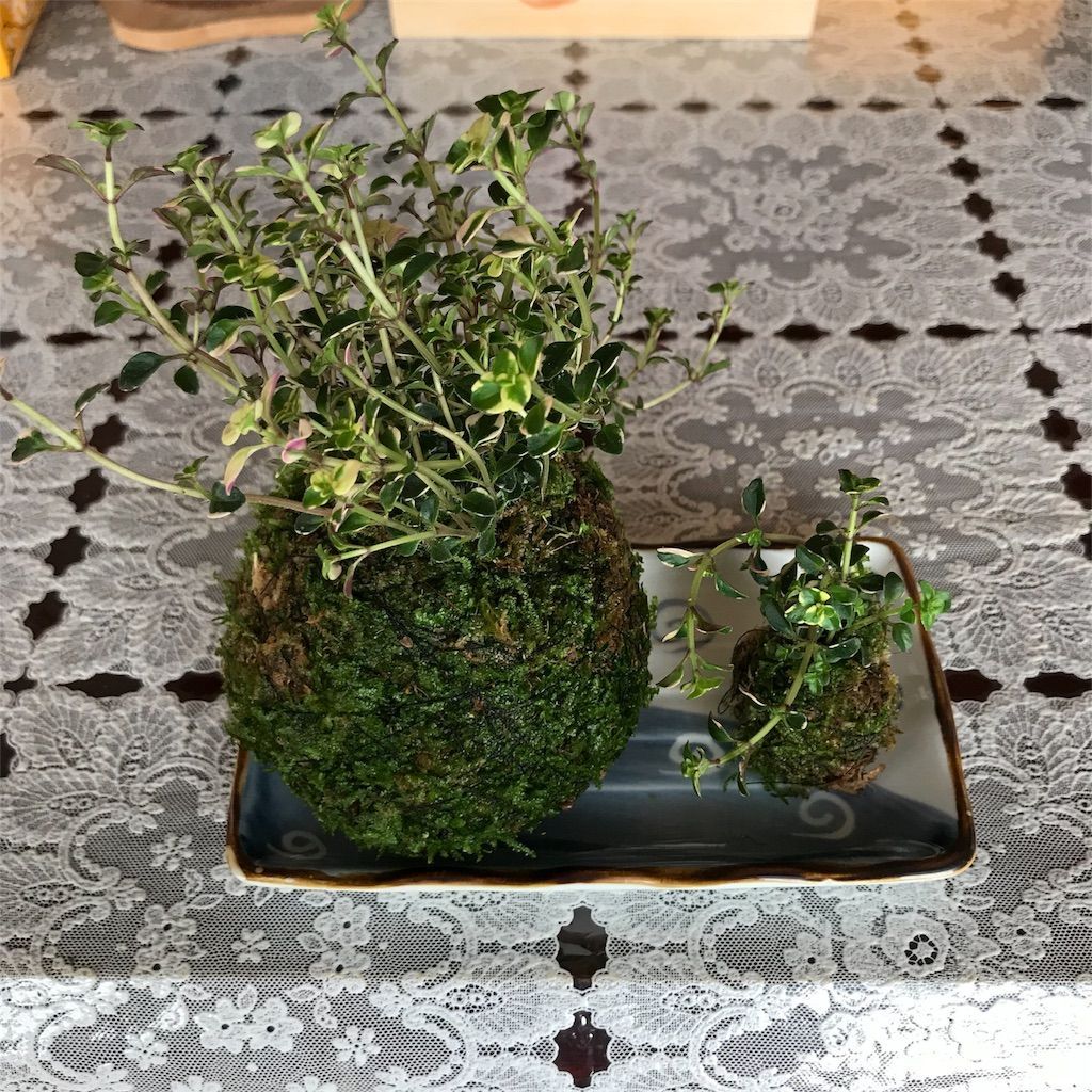 f:id:ritaia:20180222163915j:image f:id:ritaia:20180222163915j:image