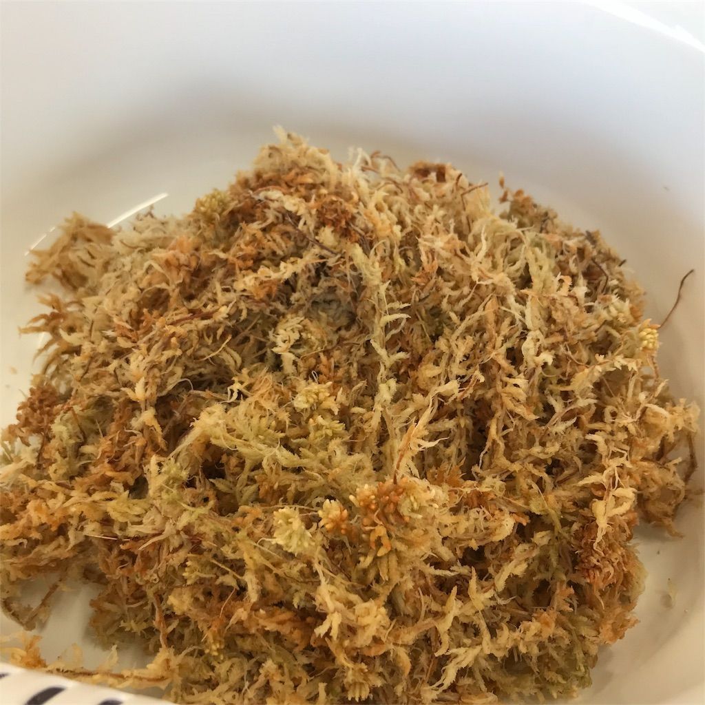 f:id:ritaia:20180222164014j:image f:id:ritaia:20180222164014j:image