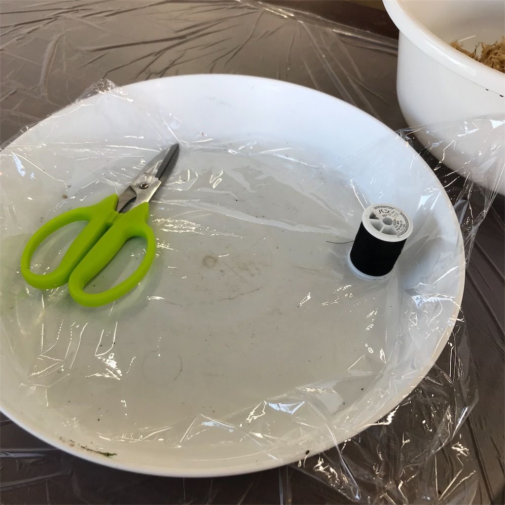 f:id:ritaia:20180222164025j:image f:id:ritaia:20180222164025j:image