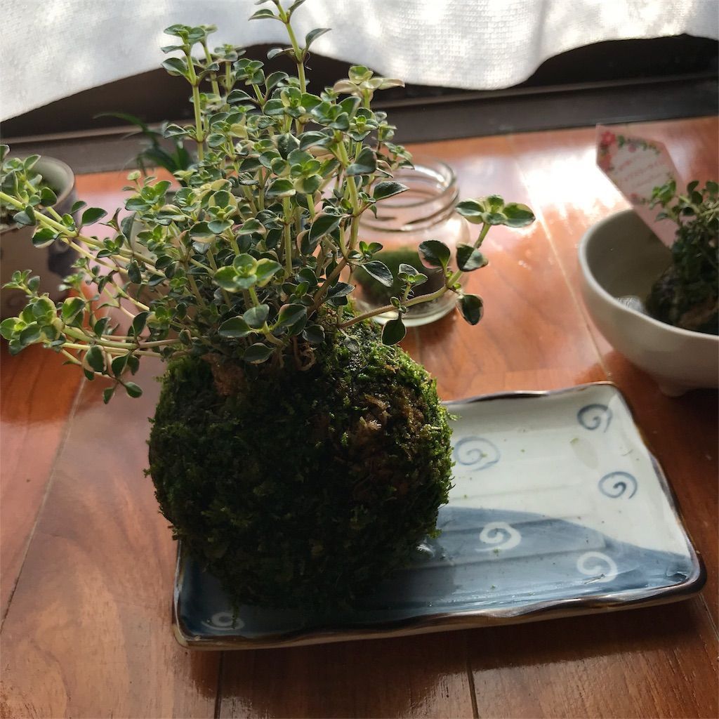 f:id:ritaia:20180222165305j:image f:id:ritaia:20180222165305j:image