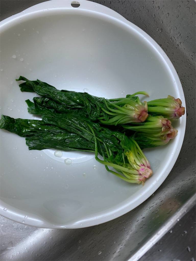 f:id:ritaia:20190130221703j:plain f:id:ritaia:20190130221703j:plain