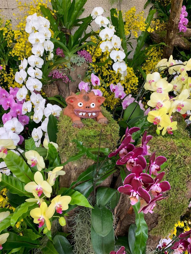 f:id:ritaia:20190211102014j:plain f:id:ritaia:20190211102014j:plain