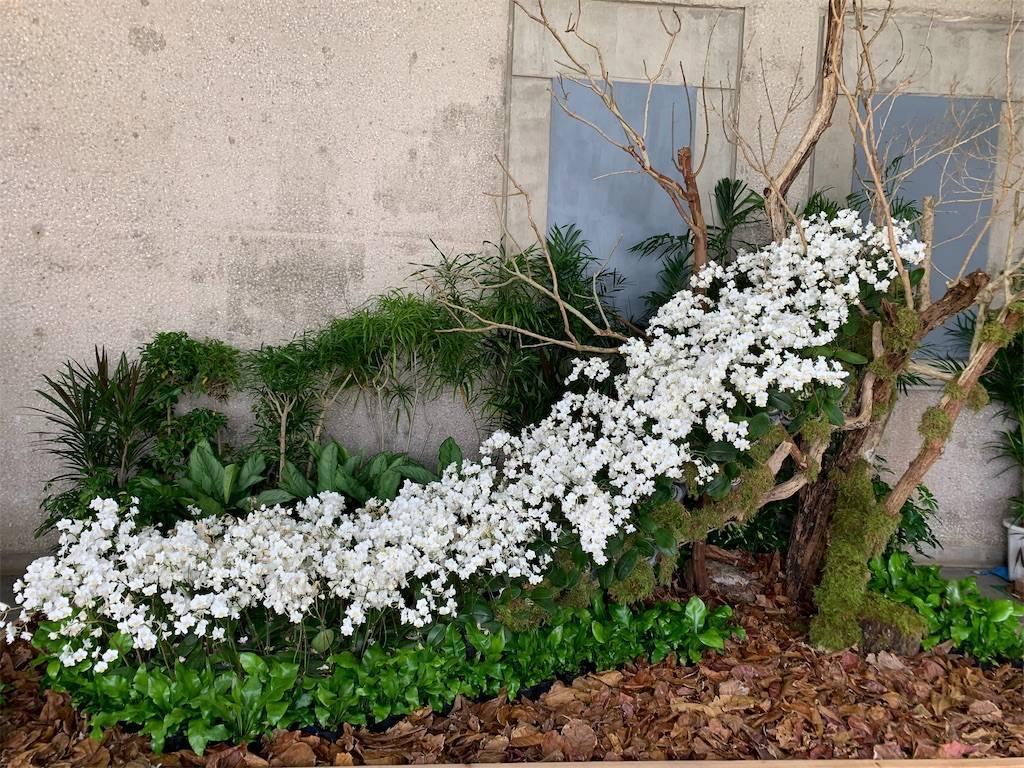 f:id:ritaia:20190211102019j:plain f:id:ritaia:20190211102019j:plain