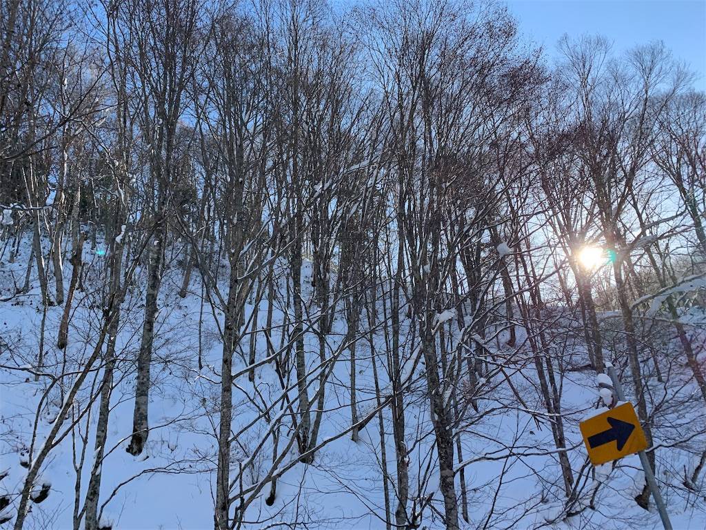 f:id:ritaia:20190218103519j:plain f:id:ritaia:20190218103519j:plain