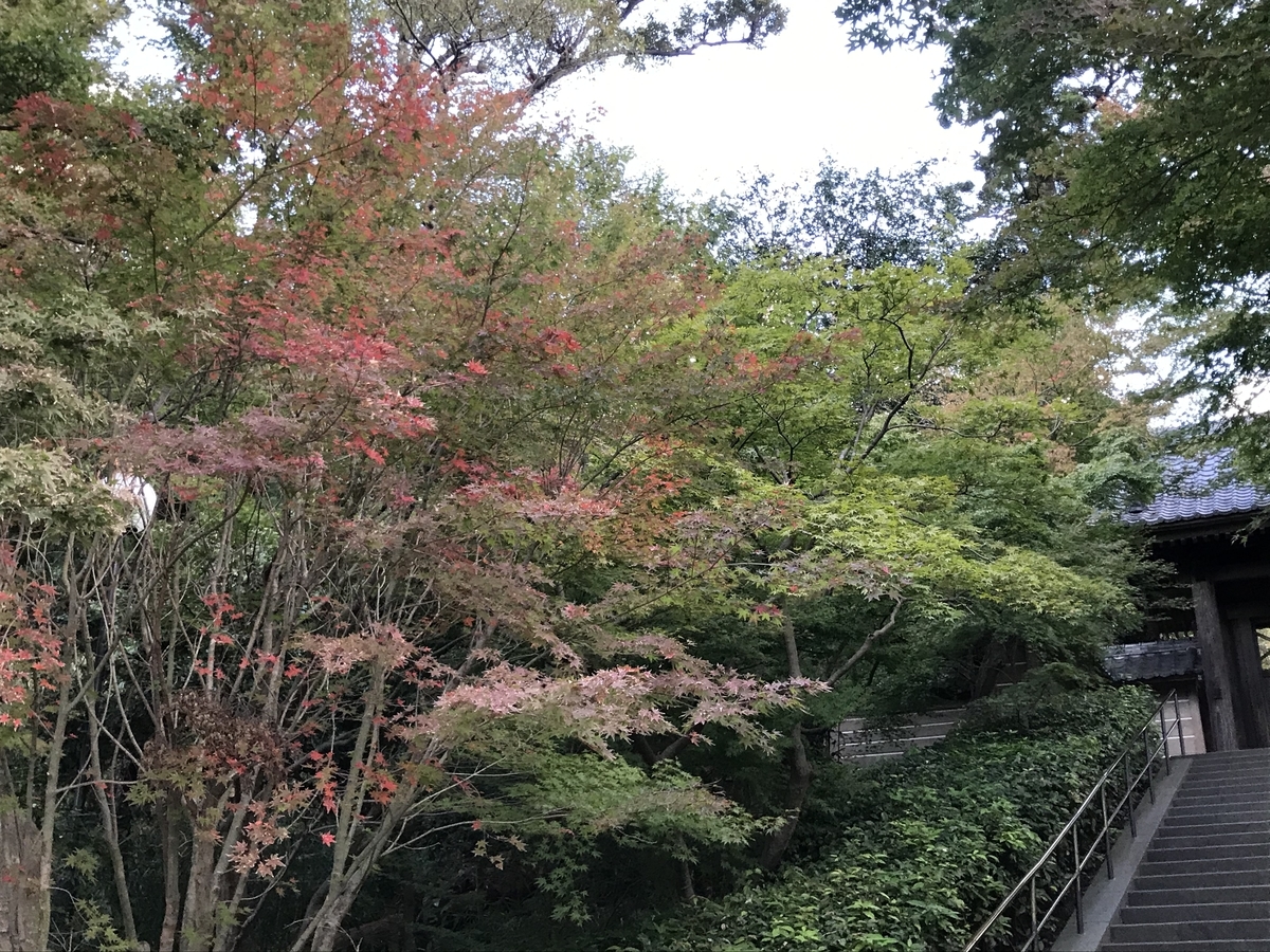 2019年鎌倉円覚寺の紅葉20191115-4