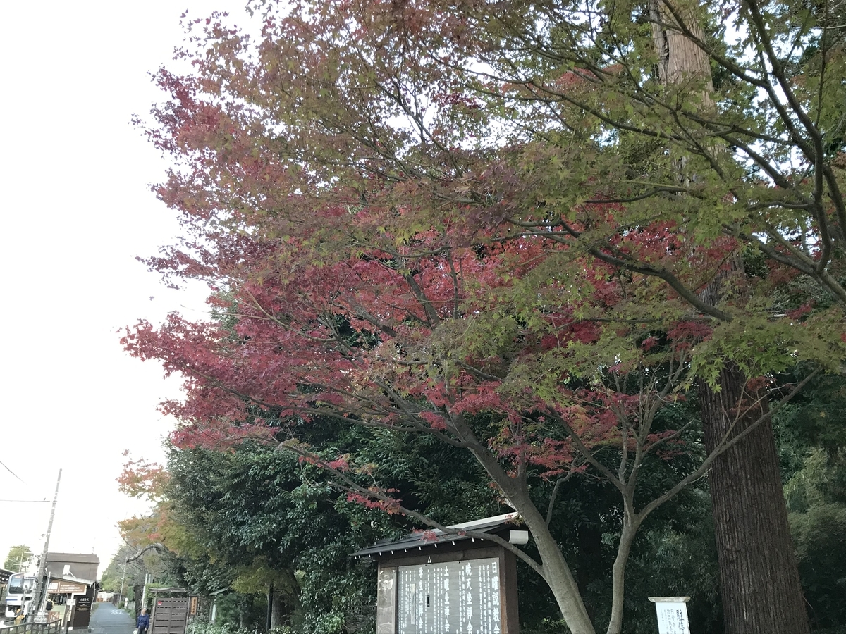 鎌倉の紅葉円覚寺20191121-1