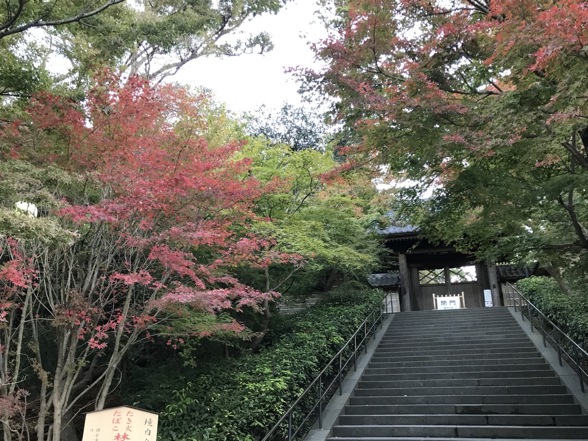 鎌倉の紅葉円覚寺20191121-3
