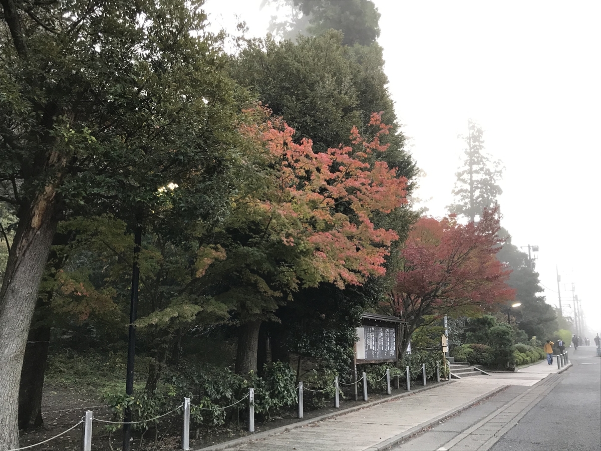 鎌倉紅葉円覚寺20191125-1