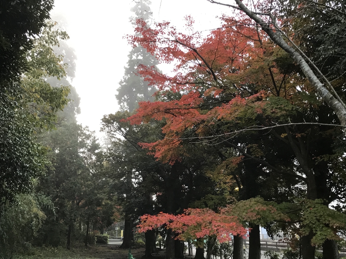 鎌倉紅葉円覚寺20191125-2