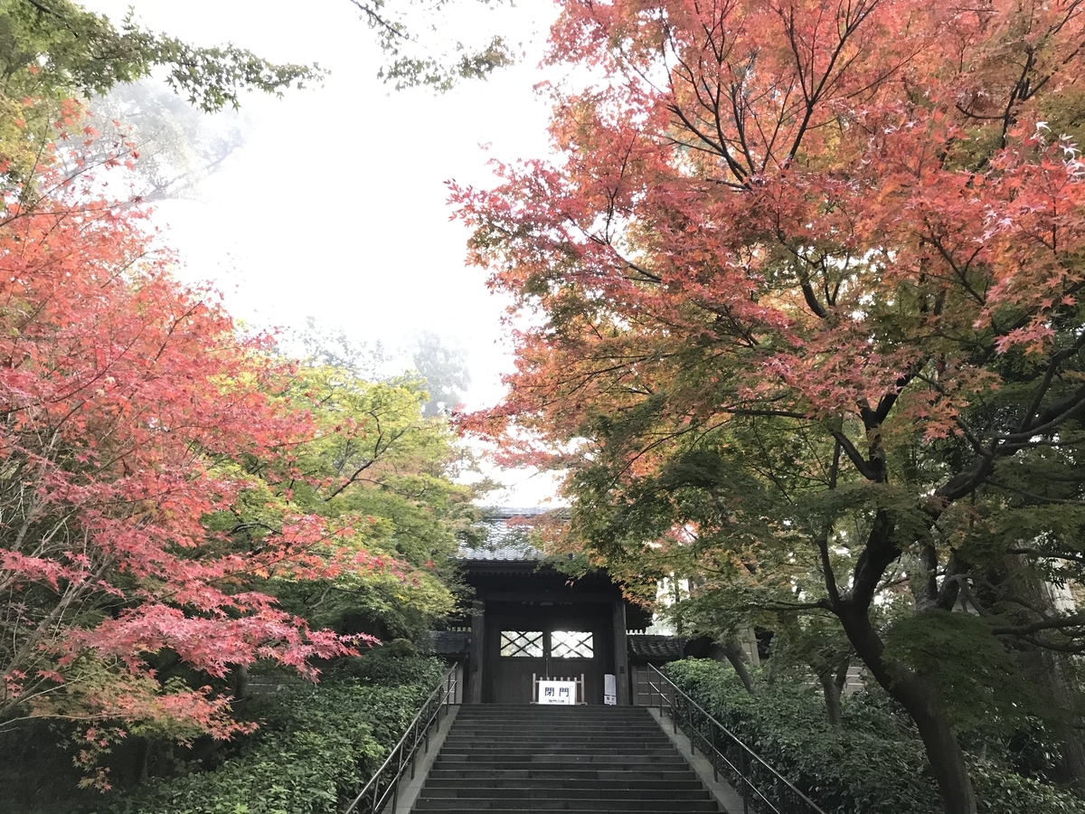 鎌倉紅葉円覚寺20191125-4