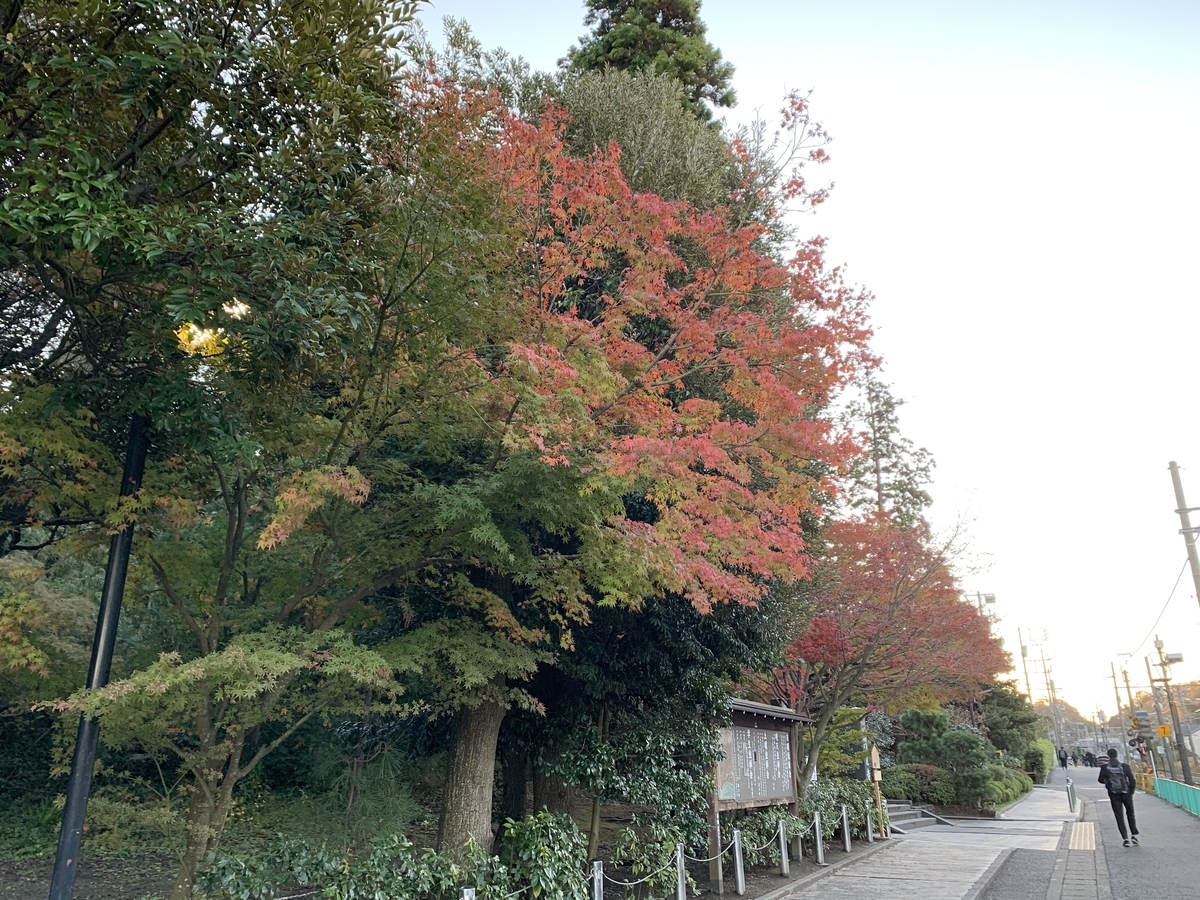 鎌倉紅葉円覚寺20191129-1