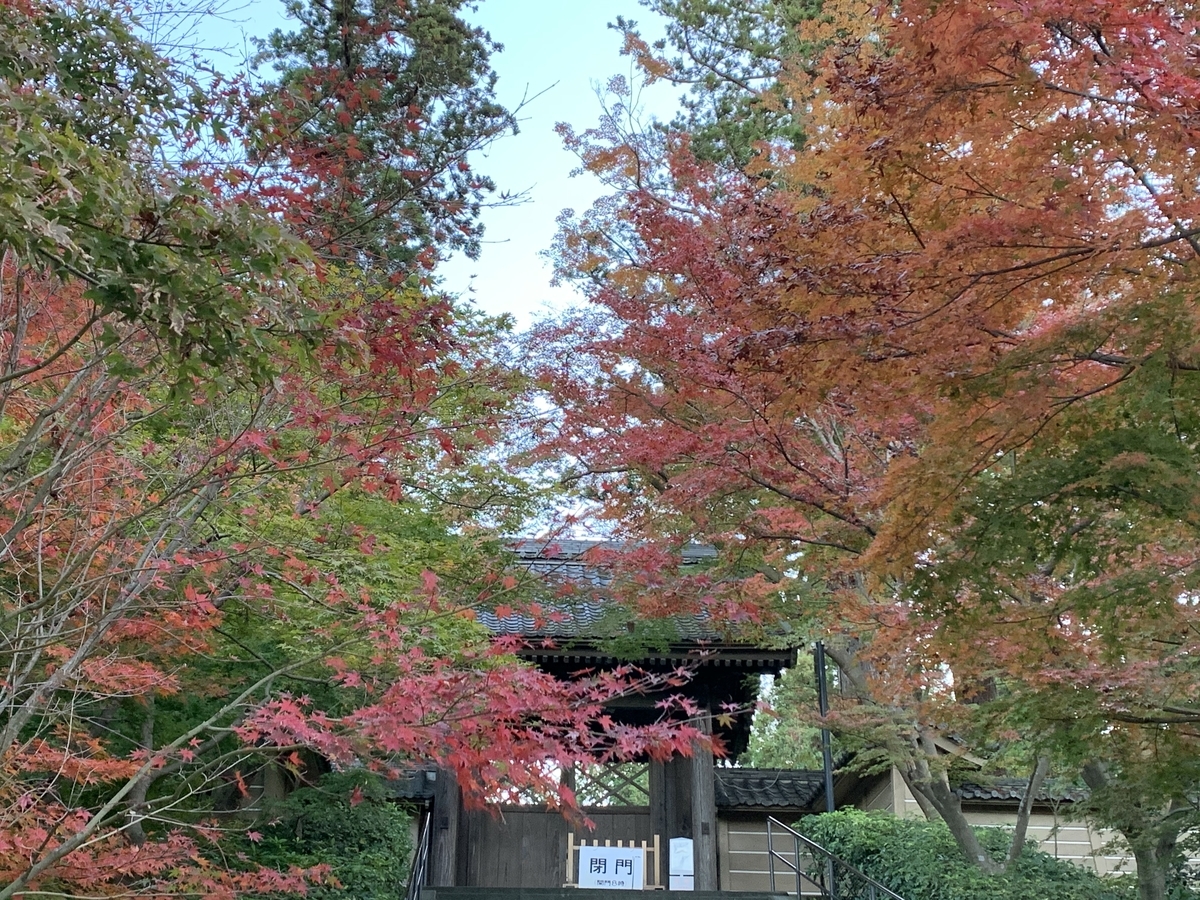 20191129-4