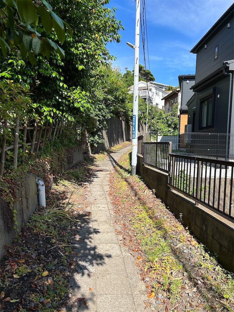 f:id:ritaoykdc:20240620180038j:image