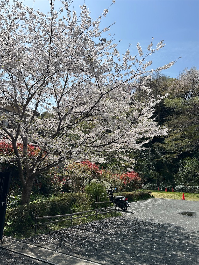 f:id:ritaoykdc:20250408151455j:image