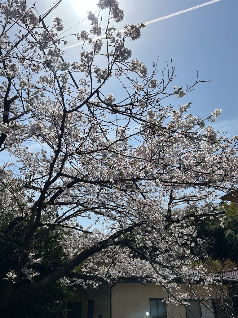 f:id:ritaoykdc:20250408151506j:image