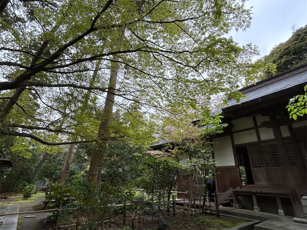 f:id:ritaoykdc:20250413121959j:image