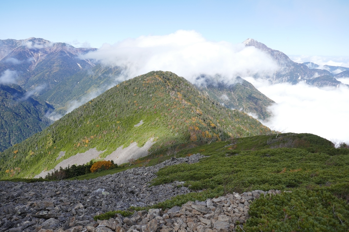 f:id:ritaril:20211029060820j:plain