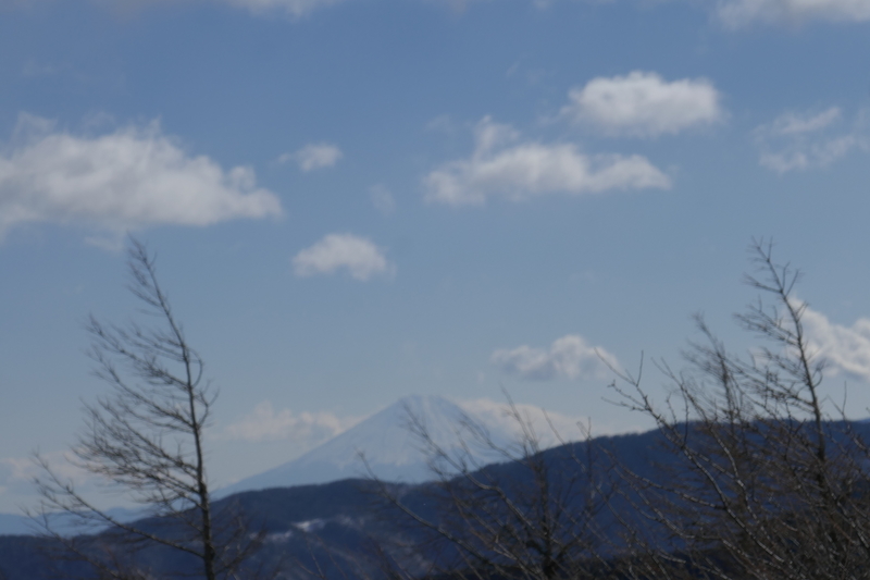 f:id:ritaril:20220122063905j:plain