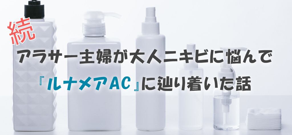 f:id:ritcha:20200318003843j:plain