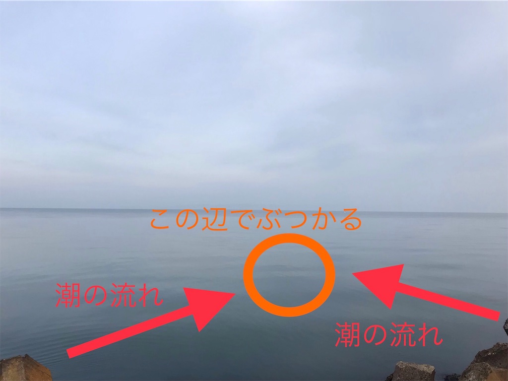 f:id:ritchie9822:20190529143945j:image