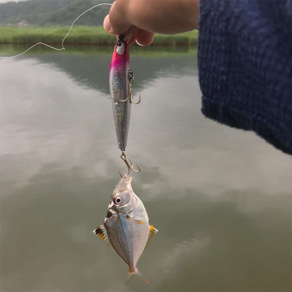 f:id:ritchie9822:20190707210157j:image