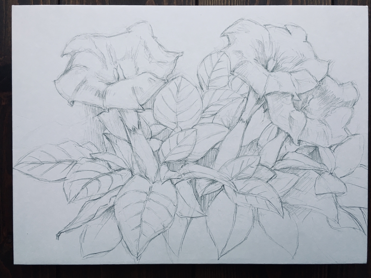 f:id:rito-jh:20190617075614j:plain