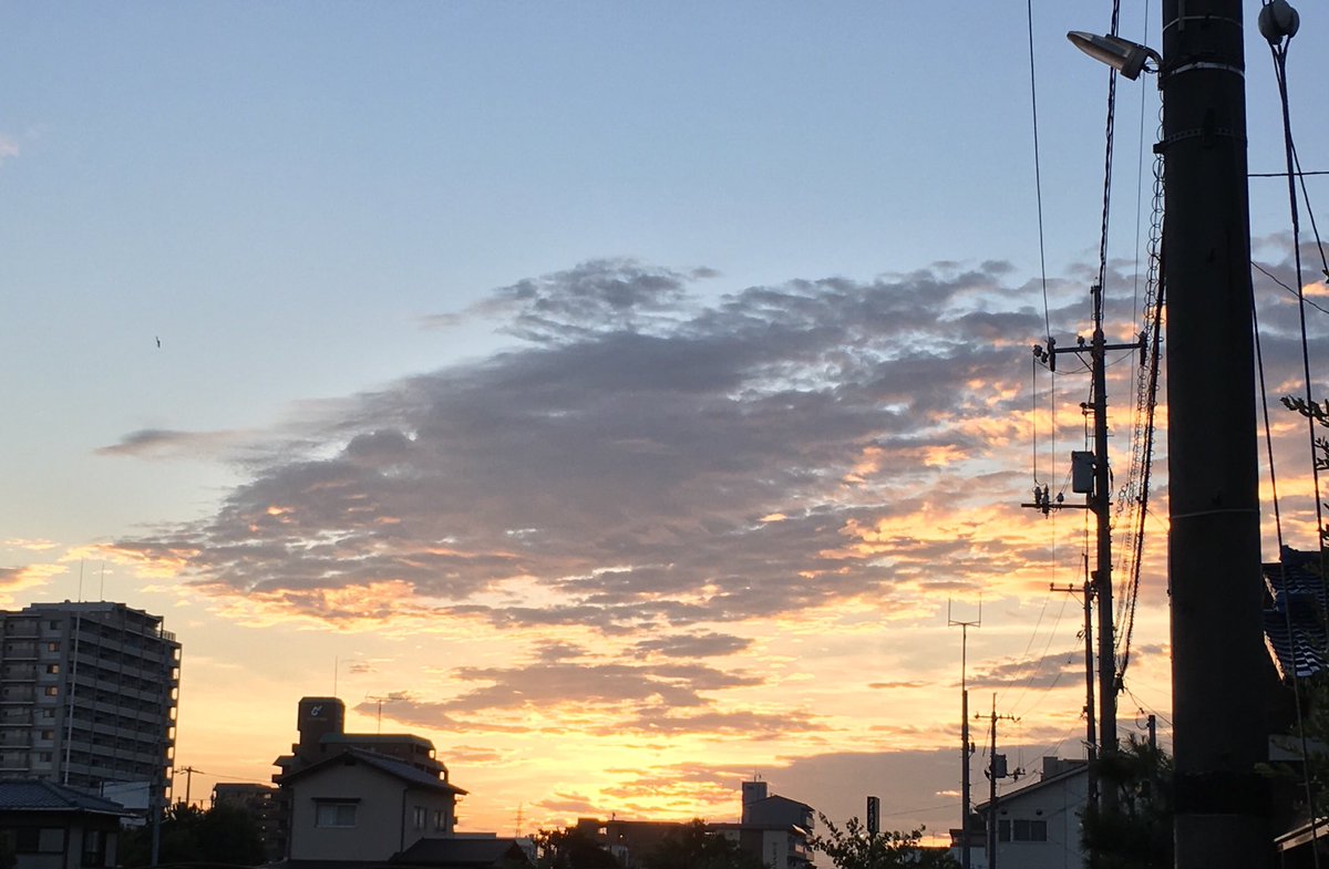 f:id:rito-jh:20190722123444j:plain f:id:rito-jh:20190722123444j:plain