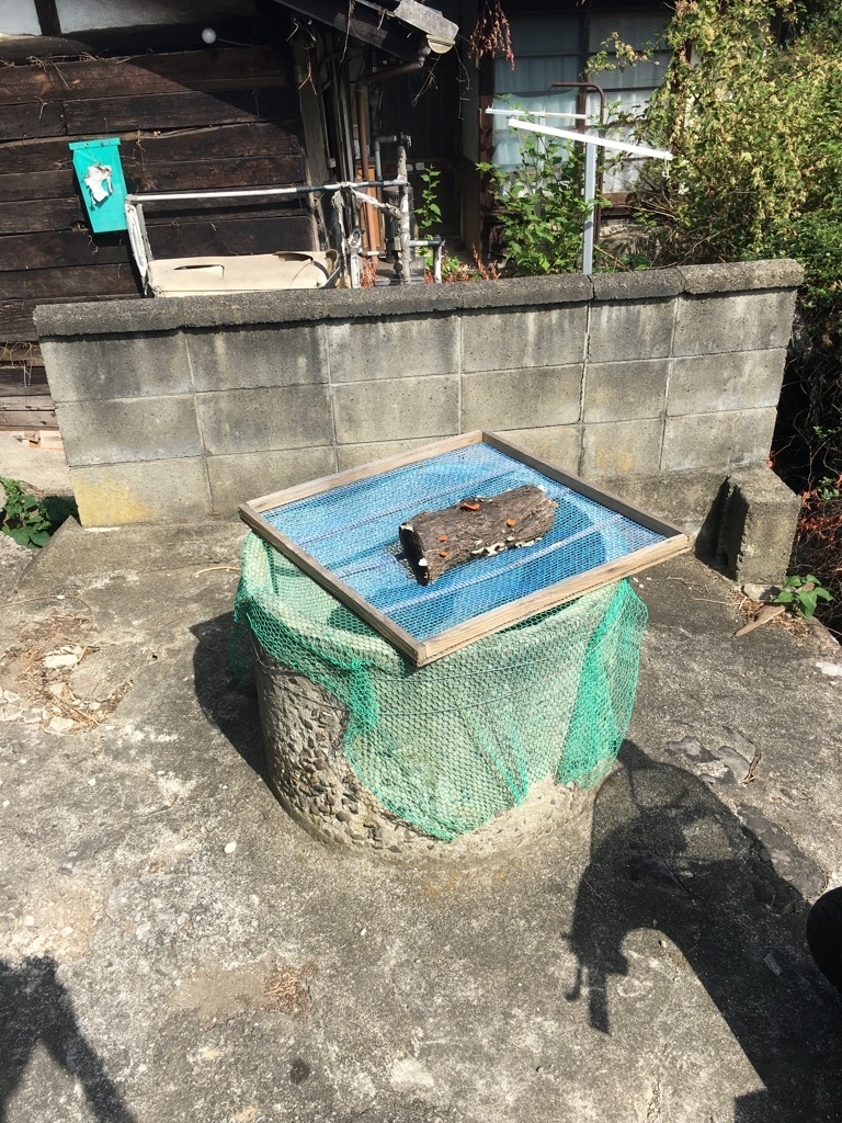 f:id:rito-jh:20191024060643j:plain