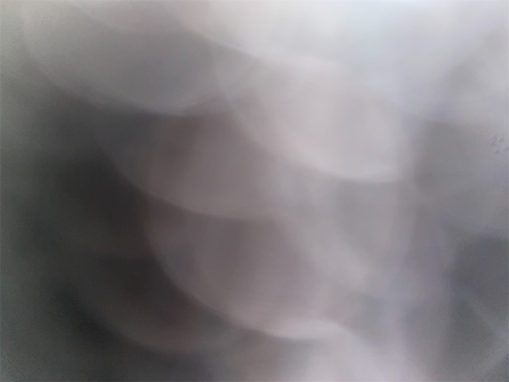 f:id:rito-jh:20200504100305j:image
