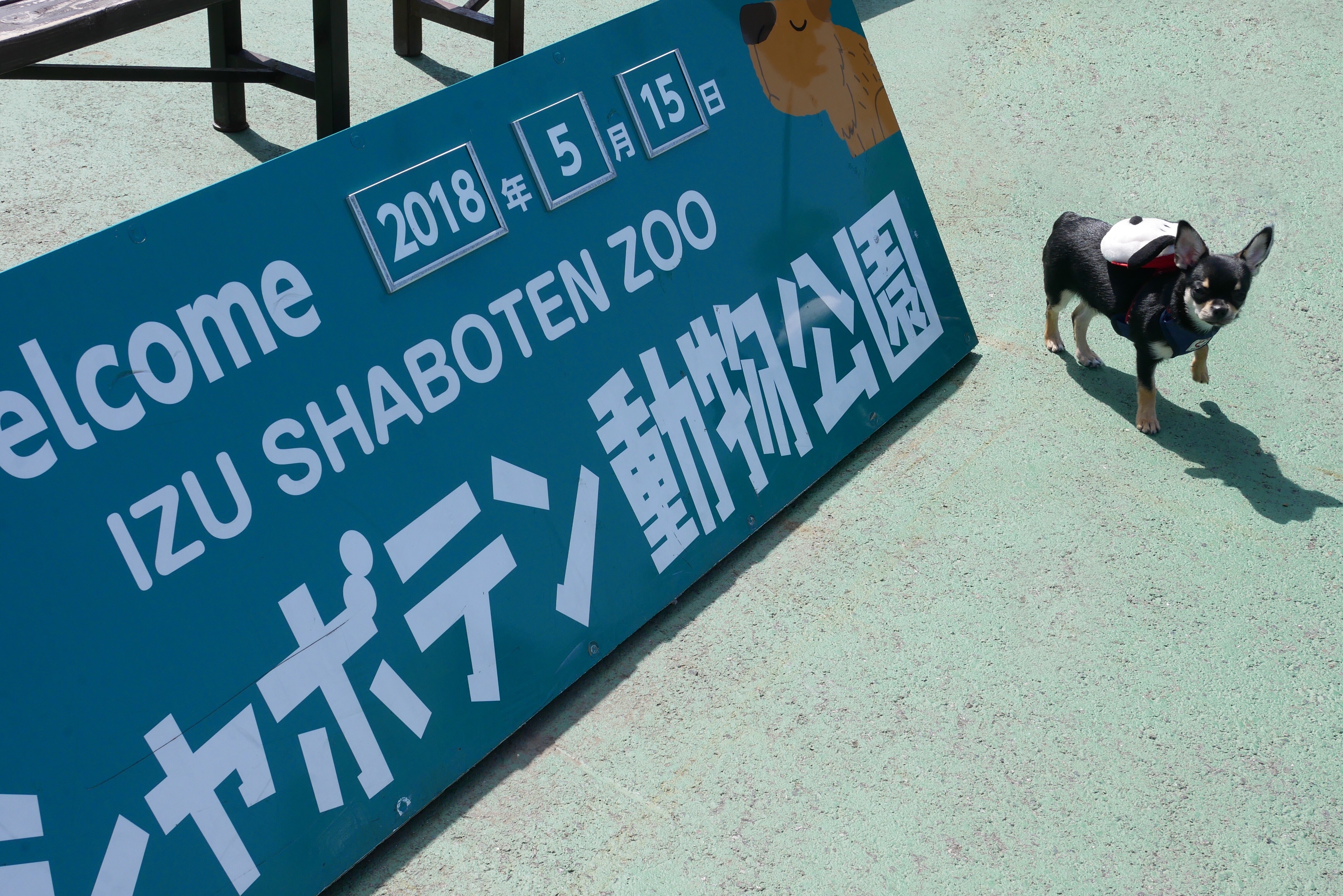 f:id:rito-man:20180517065634j:image f:id:rito-man:20180517065634j:image