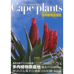 画像タイトルを記入