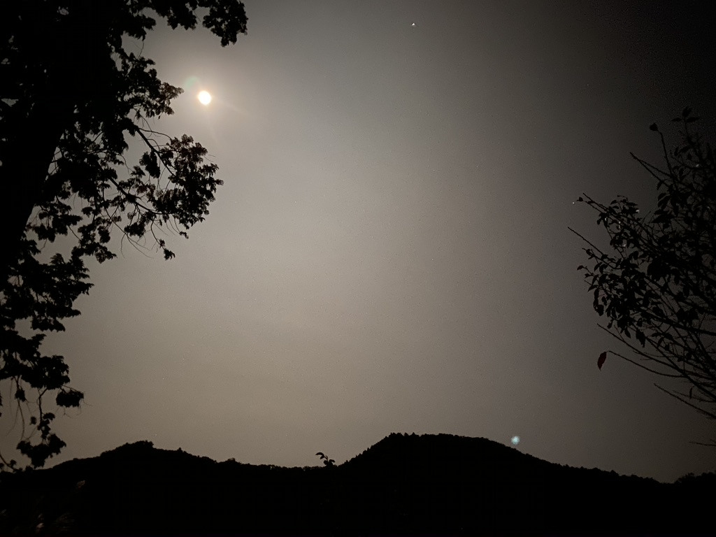 秋山川キャンプ場夜の景色