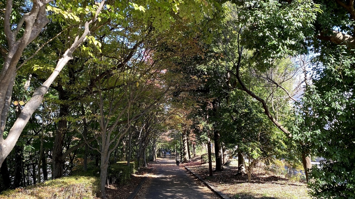 遊歩道