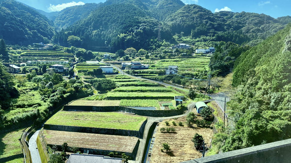 山