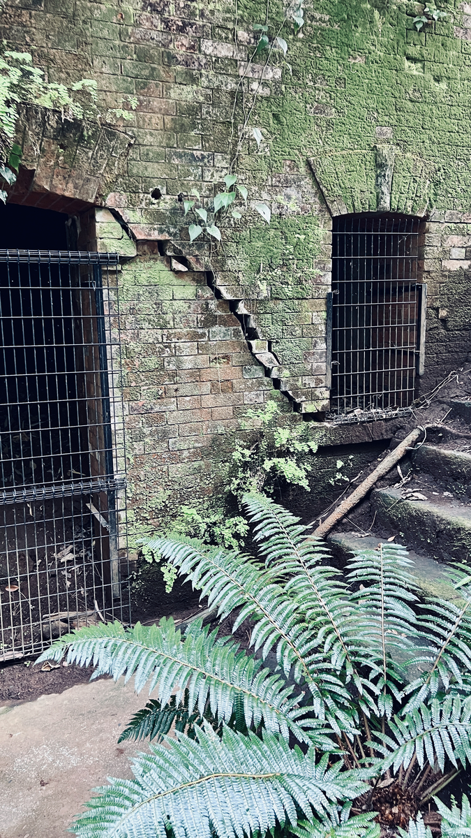 兵舎中央の壁の亀裂